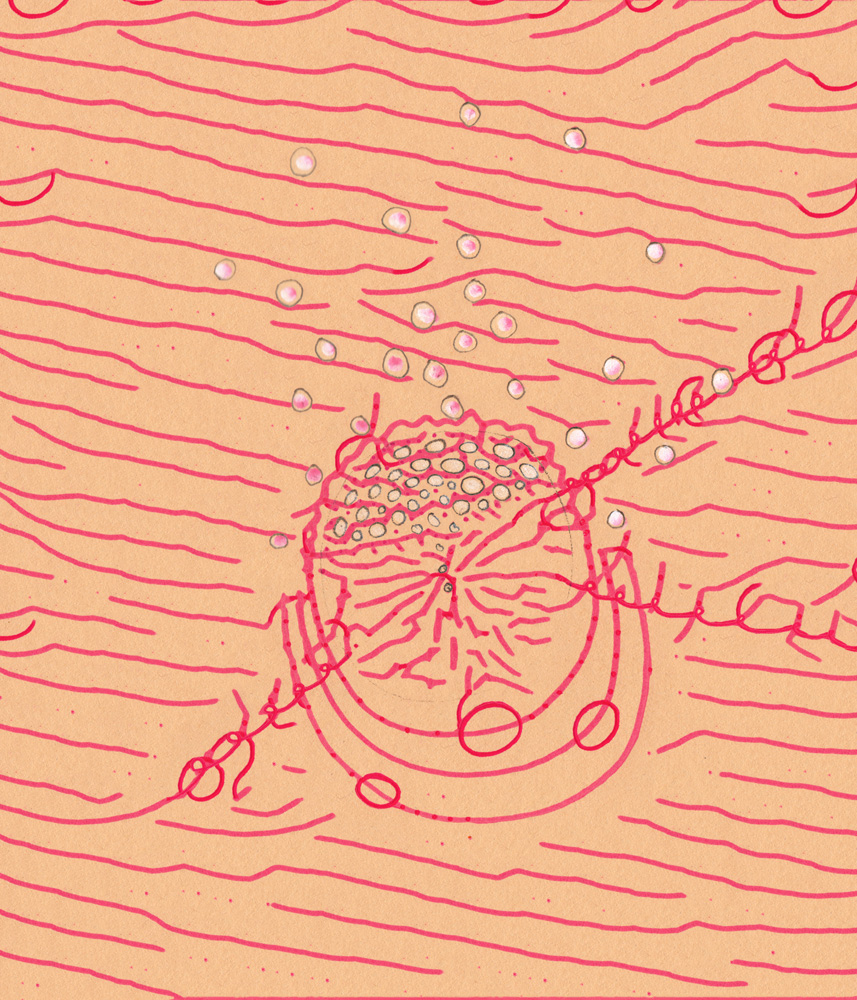 drawing of the sound of her reading